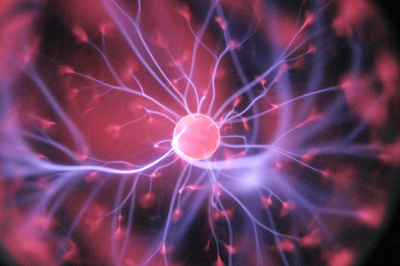 Un enchevêtrement lumineux de filaments évoque un neurone isolé — les neurones corticaux avec lesquels vous pensez ont presque votre âge. Crédit : Hal Gatewood / Unsplash (libre d'utilisation)