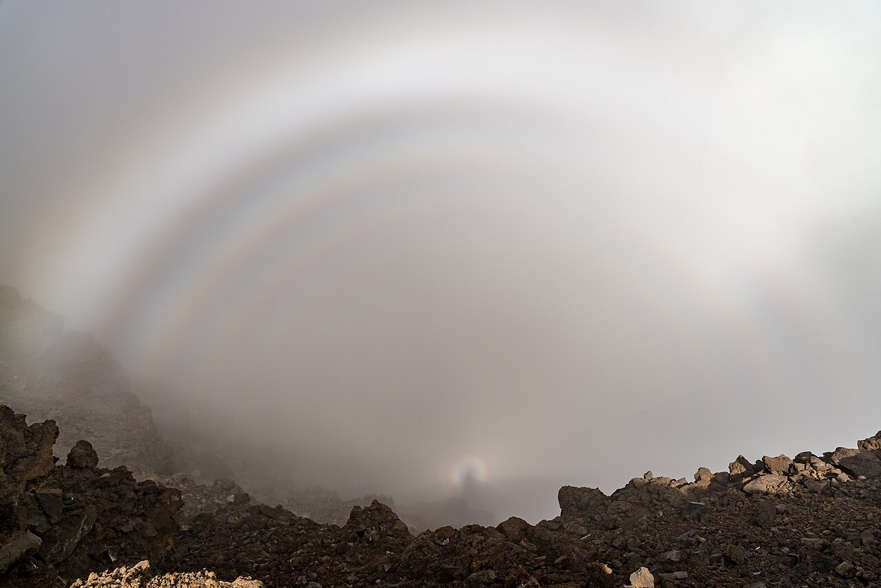 Un spectre de Brocken projeté sur une mer de nuages, l'ombre de l'observateur couronnée d'une gloire solaire circulaire, près du Roque de los Muchachos, La Palma — Crédit : Juris Seņņikovs / Wikimedia Commons (CC BY-SA 4.0)