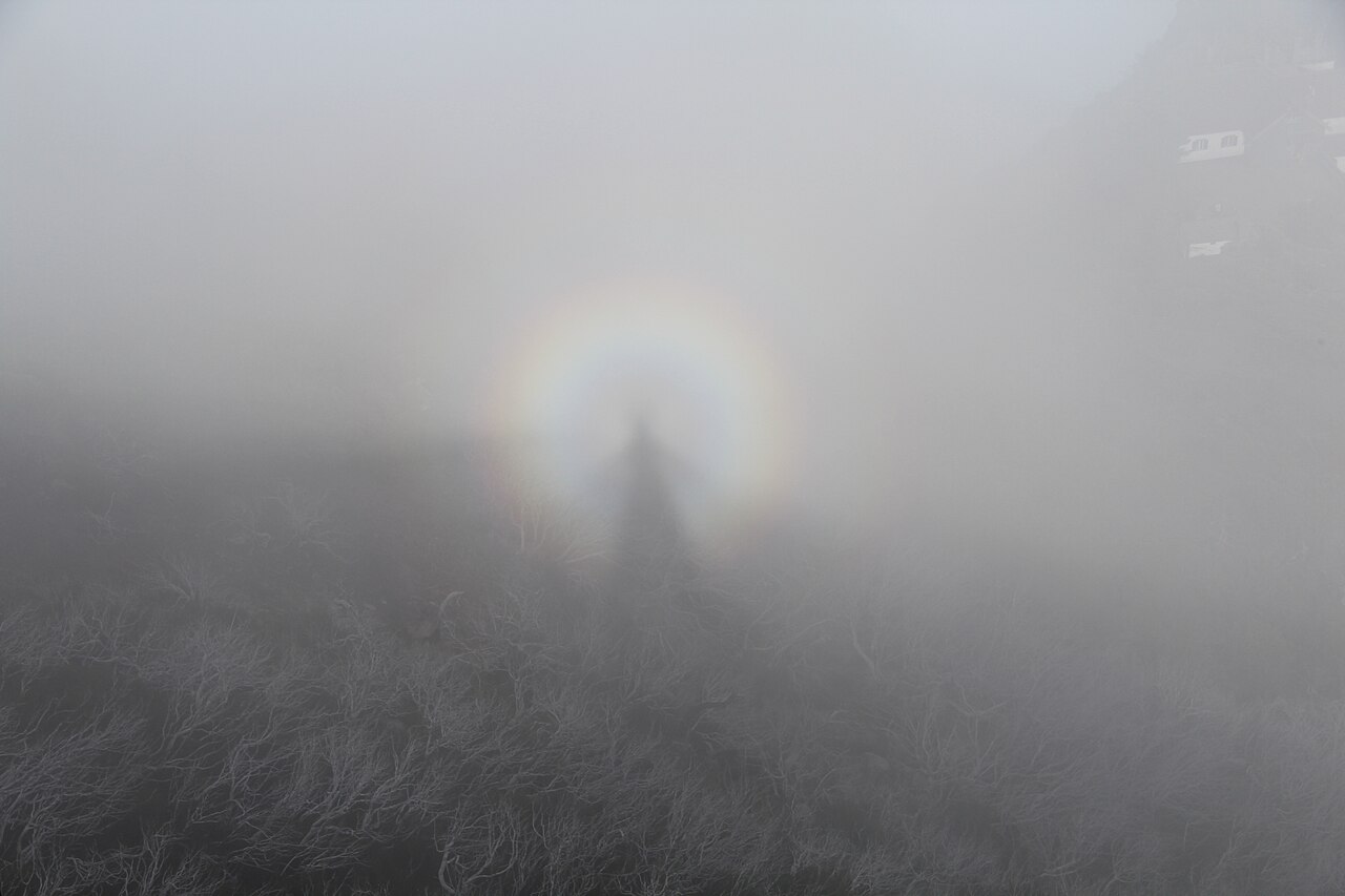 L'ombre d'un randonneur étirée sur le brouillard d'une vallée nuageuse au Pico Ruivo, Madère, cerclée d'une gloire — Crédit : GerritR / Wikimedia Commons (CC BY-SA 4.0)