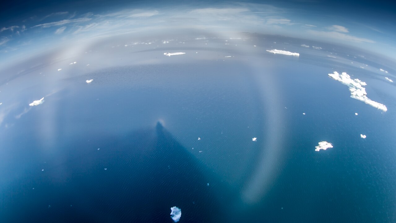 Un arc de brouillard surplombe un spectre de Brocken et sa gloire dans le détroit de Hinlopen, au Svalbard — Crédit : Andreas Weith / Wikimedia Commons (CC BY-SA 4.0)