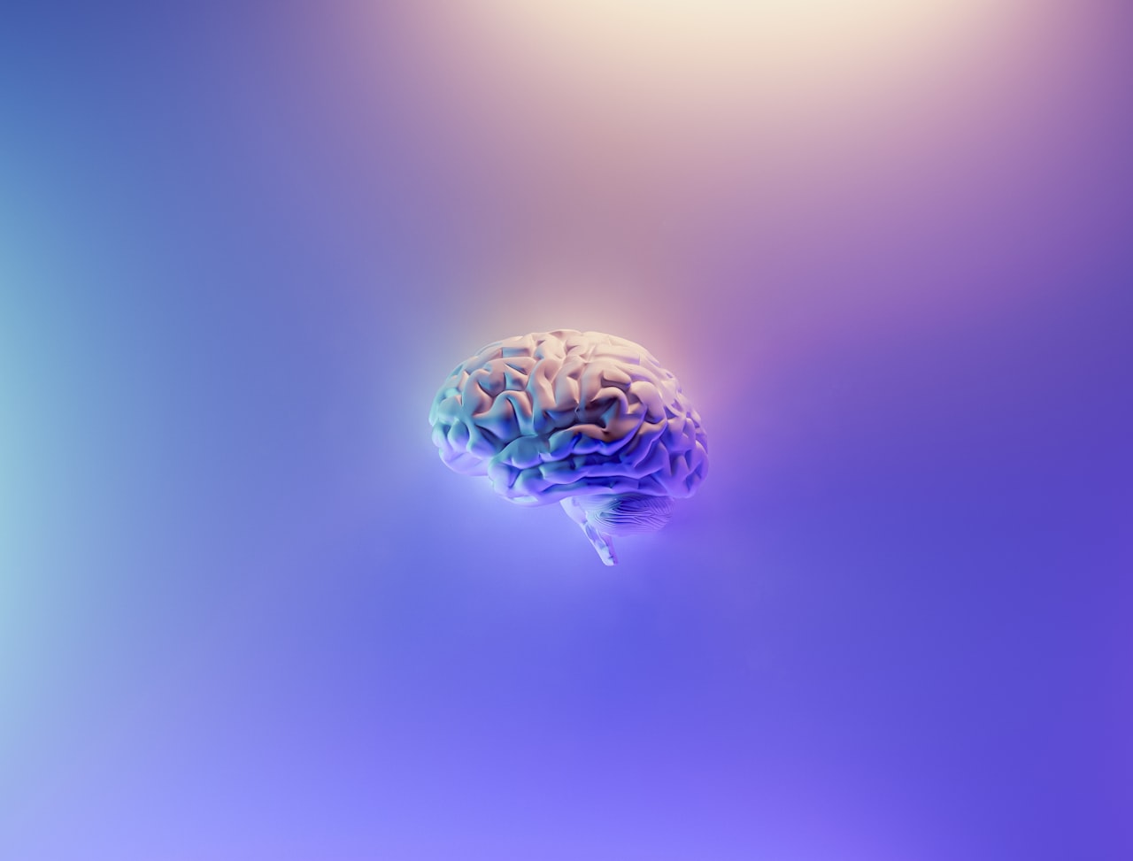 Un rendu irisé du cerveau humain — l'organe dont Berger et Song ont appris à lire le code intime. Crédit : Milad Fakurian, Unsplash (licence Unsplash)