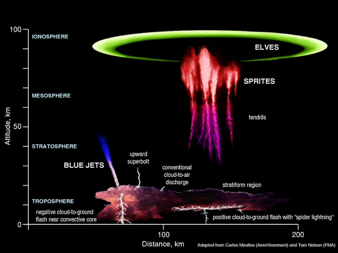 Les différents phénomènes de la haute atmosphère selon l'altitude : sprites (farfadets), blue jets, ELVES — et l'éclair classique en dessous. Crédit : NOAA (domaine public).